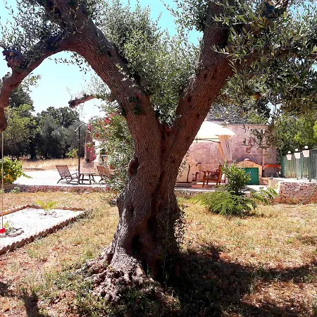 Il Leccio - Trulli