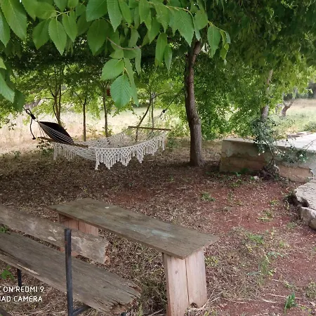 Il Leccio - Trulli Σπίτι διακοπών *