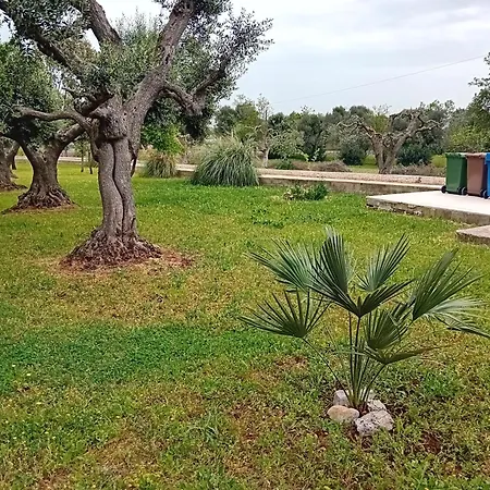 Il Leccio - Trulli *