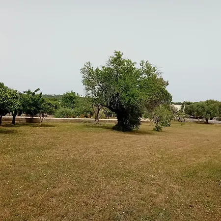 Σπίτι διακοπών Il Leccio - Trulli *