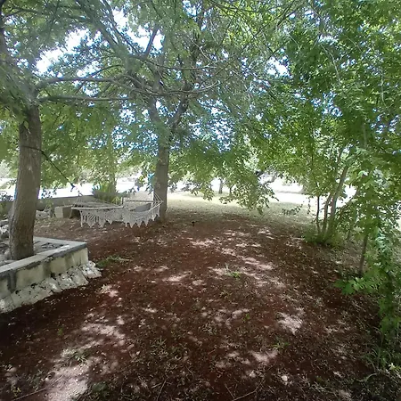 Il Leccio - Trulli 別荘 チステルニーノ