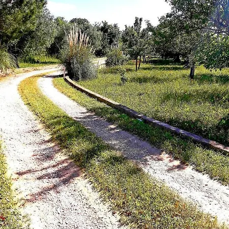 Il Leccio - Trulli Tatil Evi Cisternino