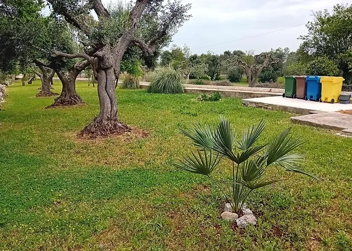 Il Leccio - Trulli *